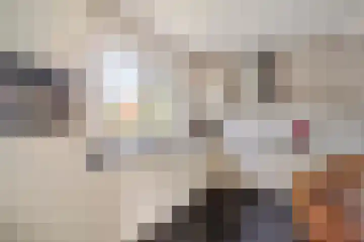Veldstraat 12 Zetten thumbnail 4