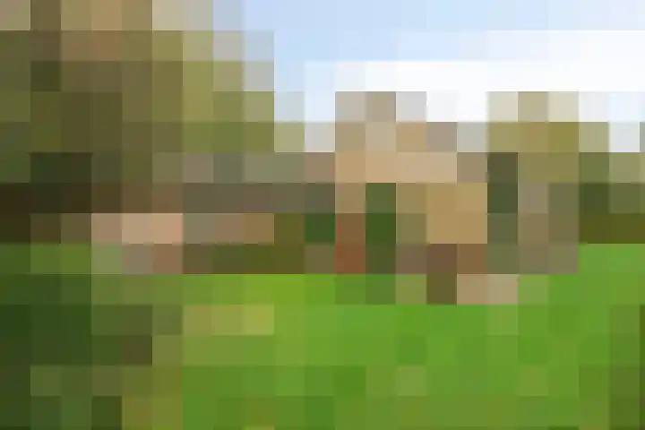 Veldstraat 12 Zetten thumbnail 40