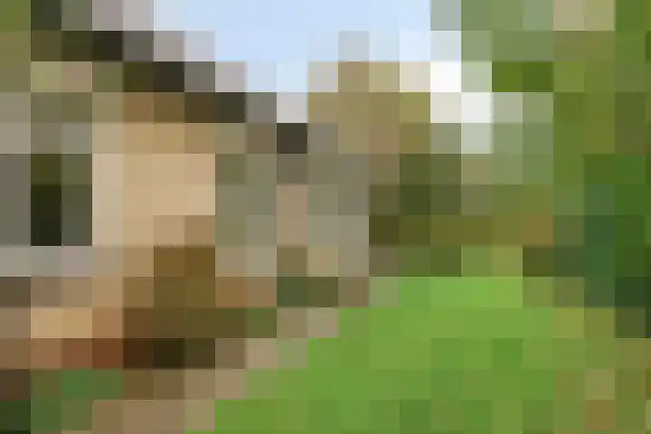 Veldstraat 12 Zetten thumbnail 41