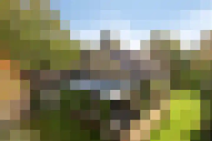 Veldstraat 12 Zetten thumbnail 42