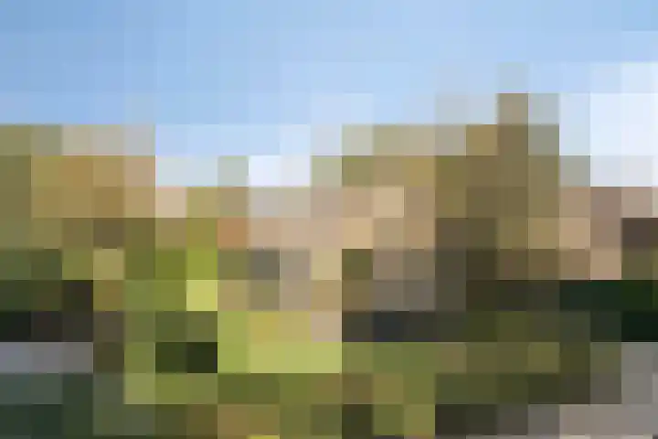 Veldstraat 12 Zetten thumbnail 43