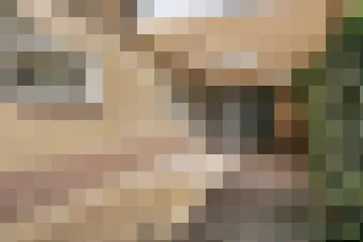 Veldstraat 12 Zetten thumbnail 7