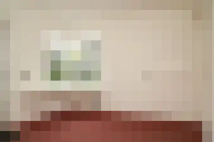 Veldstraat 13 b Heeswijk-Dinther thumbnail 10