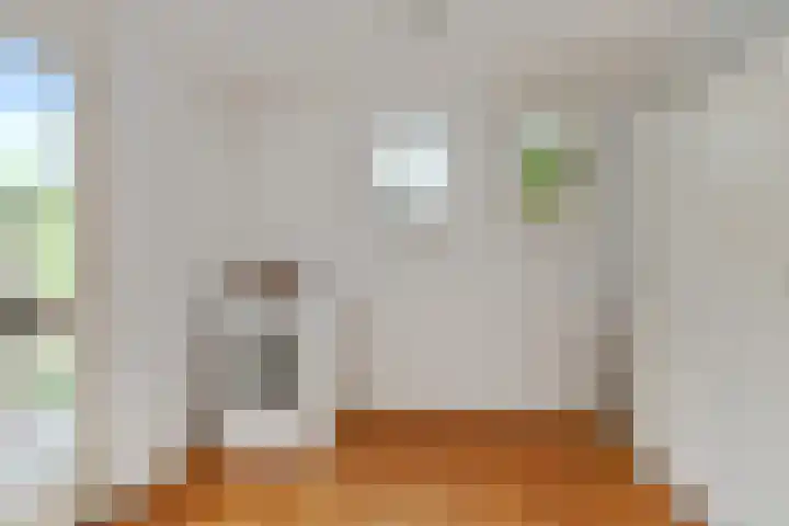 Veldstraat 13 Helden thumbnail 12