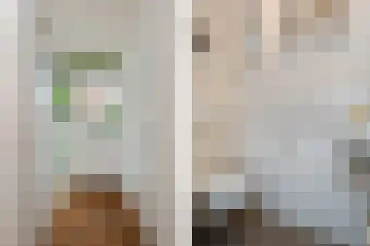 Veldstraat 13 Helden thumbnail 13