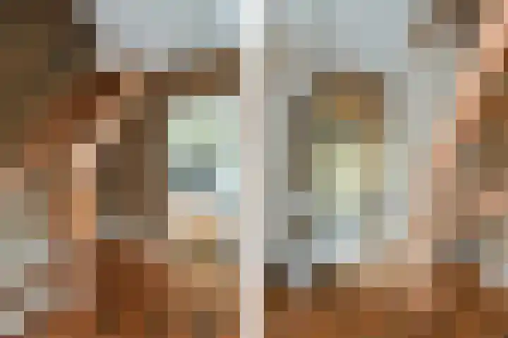 Veldstraat 13 Helden thumbnail 16