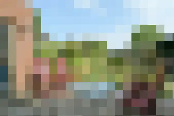 Veldstraat 13 Helden thumbnail 23