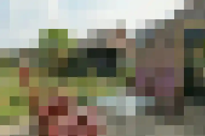 Veldstraat 13 Helden thumbnail 24