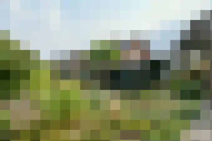 Veldstraat 13 Helden thumbnail 25