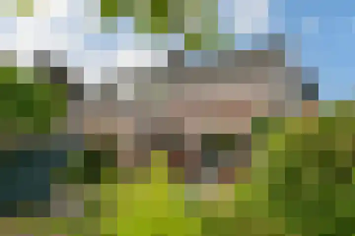 Veldstraat 13 Helden thumbnail 27