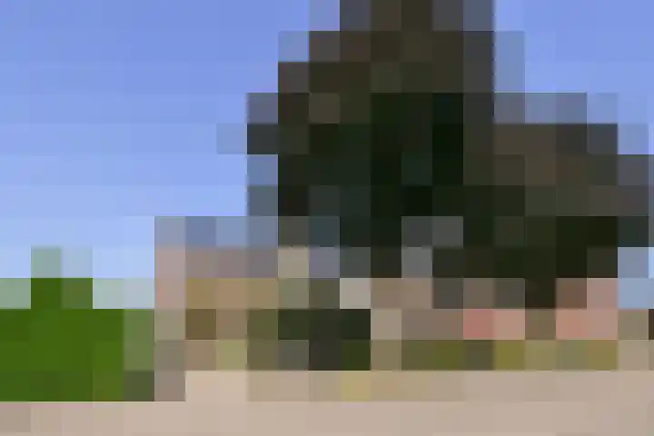 Veldstraat 13 Helden thumbnail 4