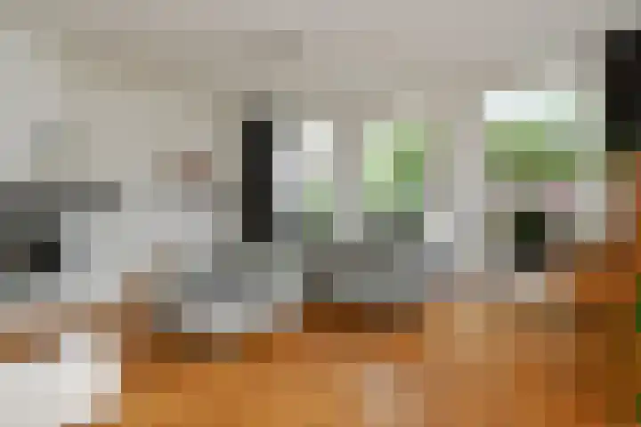 Veldstraat 13 Helden thumbnail 6