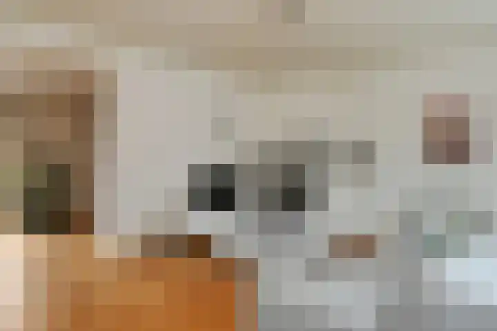 Veldstraat 13 Helden thumbnail 7