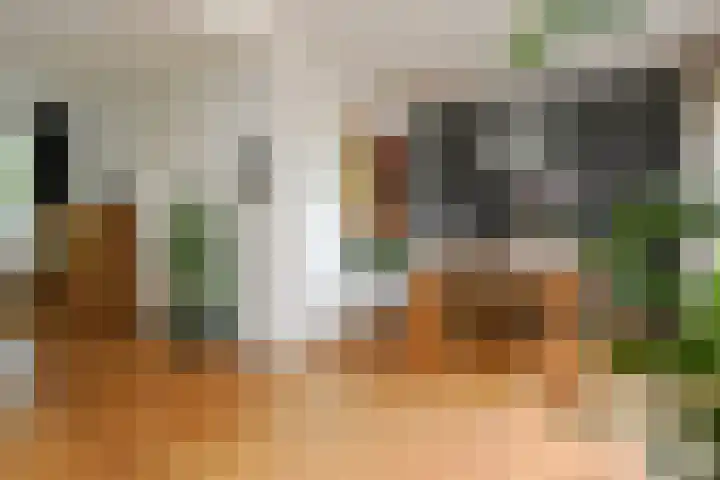 Veldstraat 13 Helden thumbnail 8