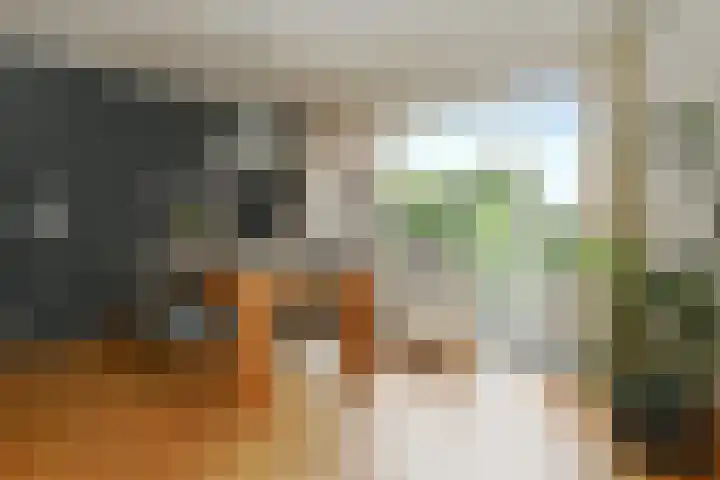 Veldstraat 13 Helden thumbnail 9