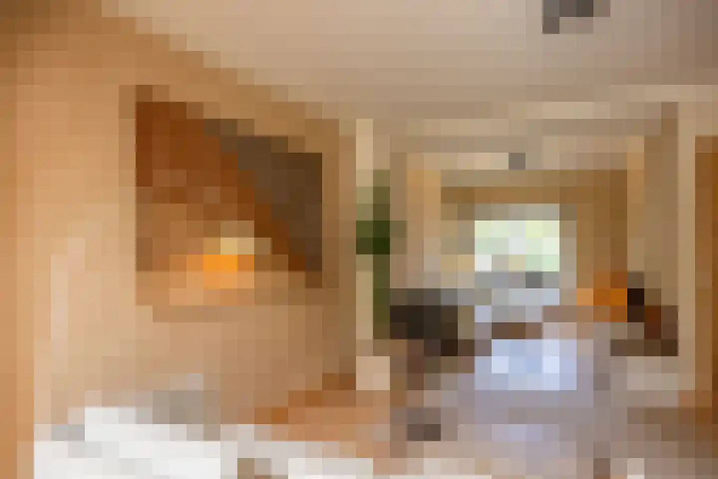 Veldstraat 13 Nijmegen thumbnail 17