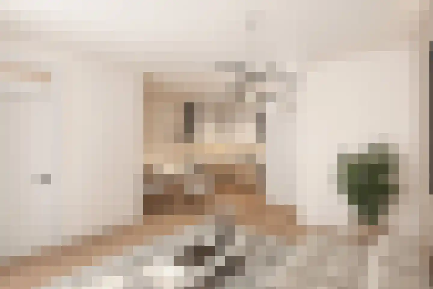 Veldstraat 13 Roermond thumbnail 4