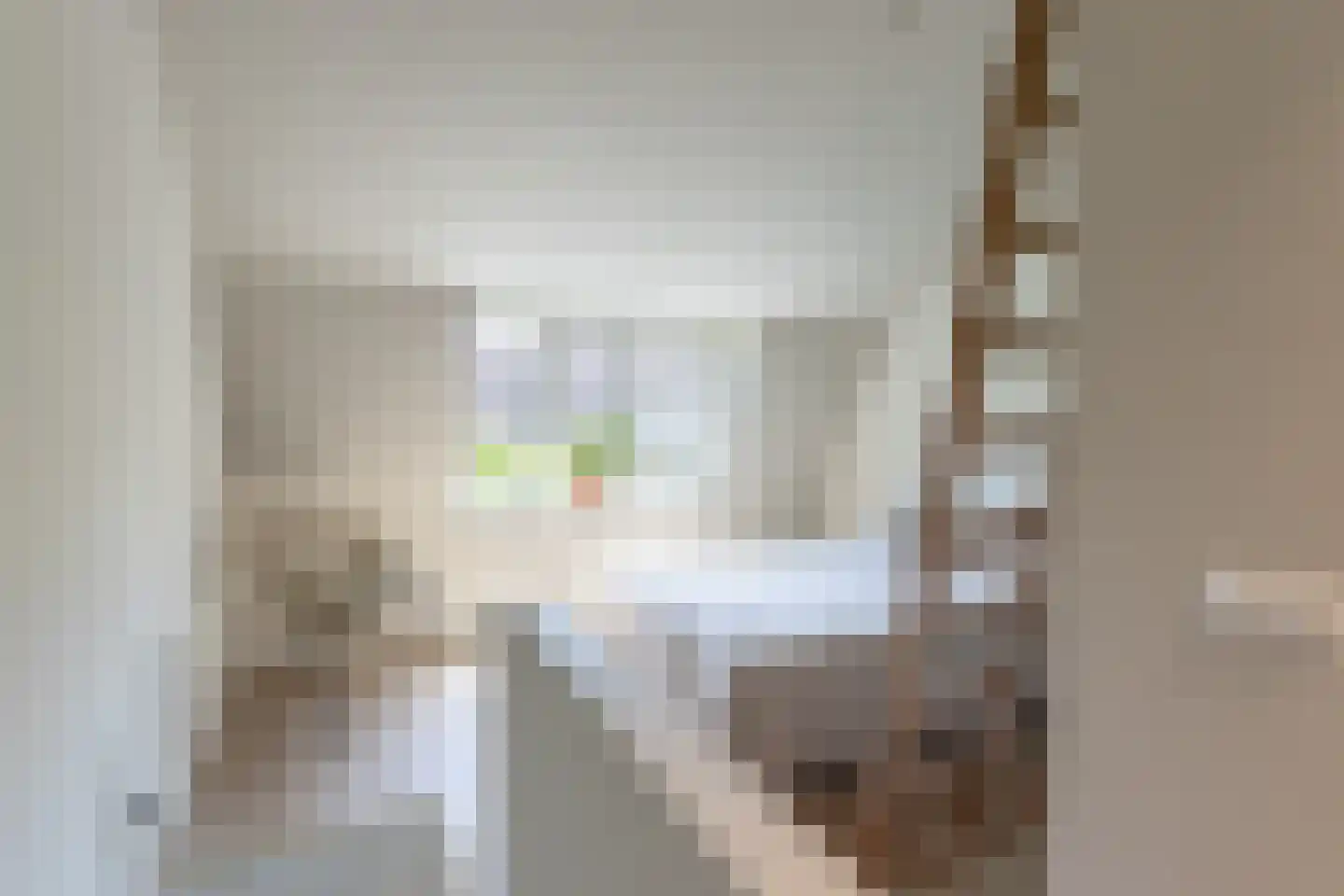 Veldstraat 13 Utrecht thumbnail 24