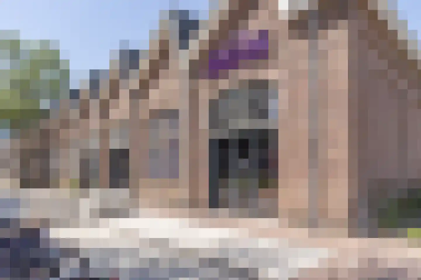 Veldstraat 13 Utrecht thumbnail 38
