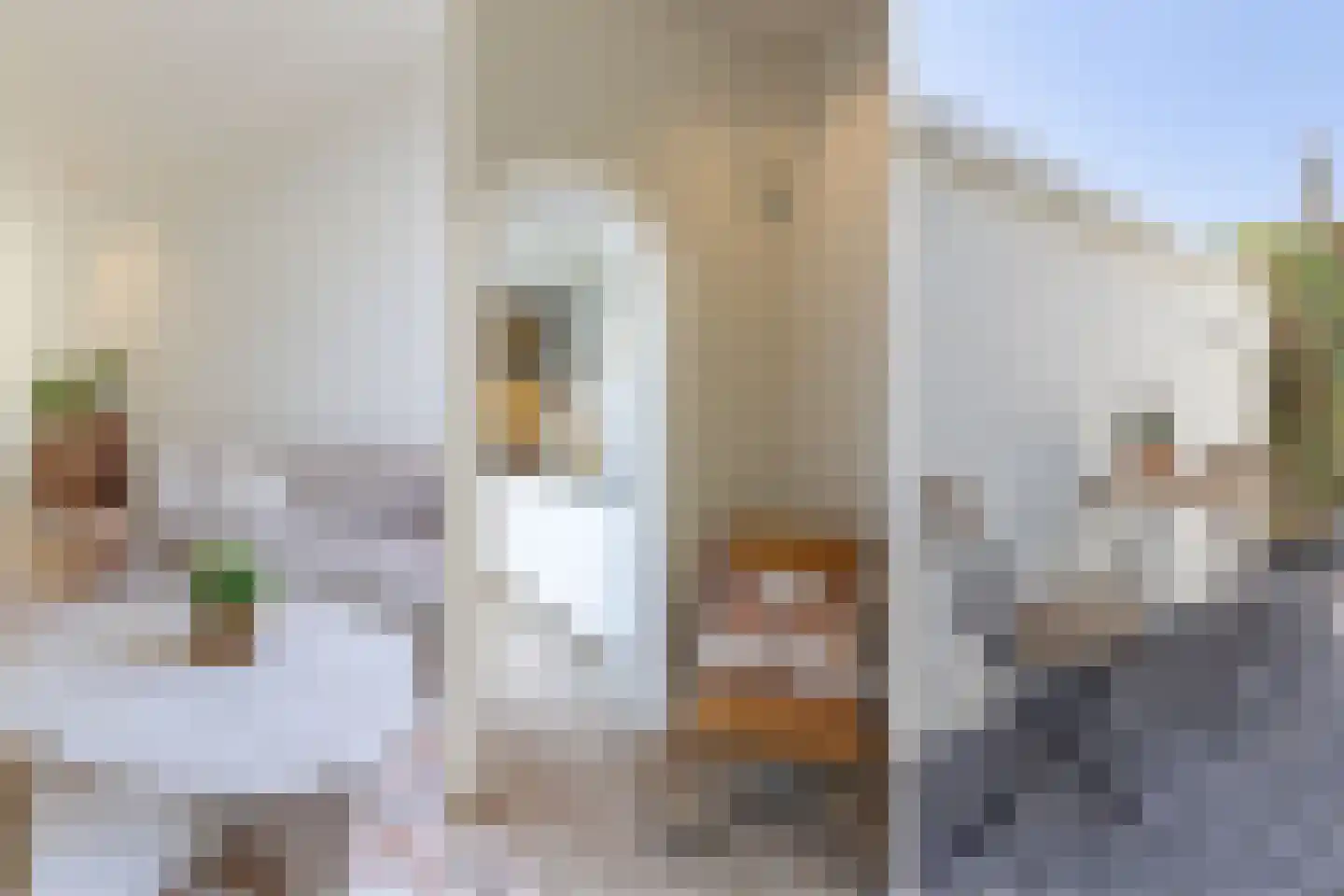 Veldstraat 13 Utrecht thumbnail 8