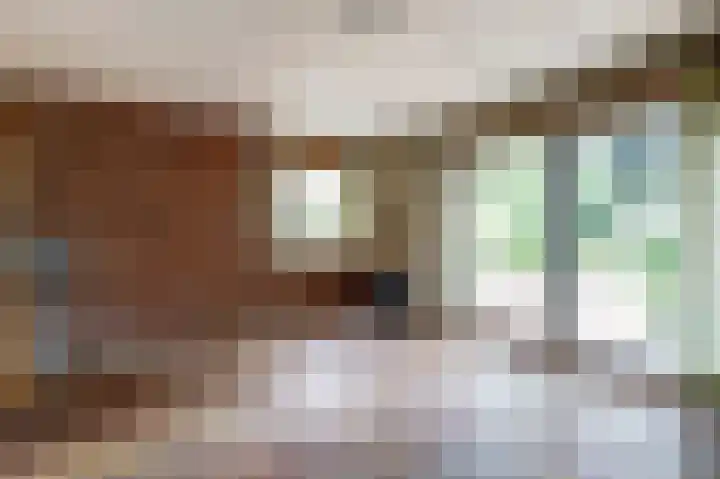 Veldstraat 14 Helden thumbnail 17