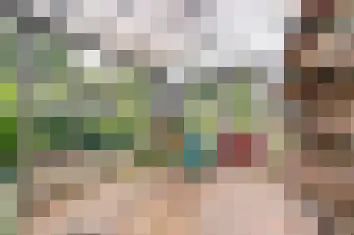Veldstraat 14 Helden thumbnail 38
