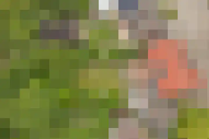 Veldstraat 14 Helden thumbnail 45