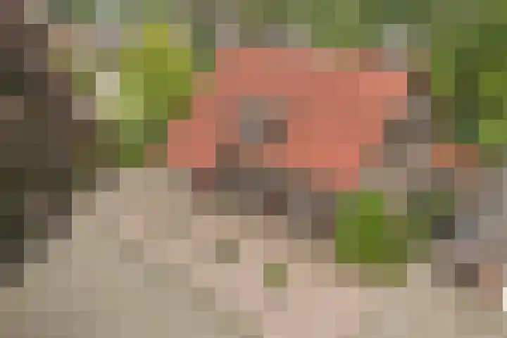 Veldstraat 14 Helden thumbnail 46