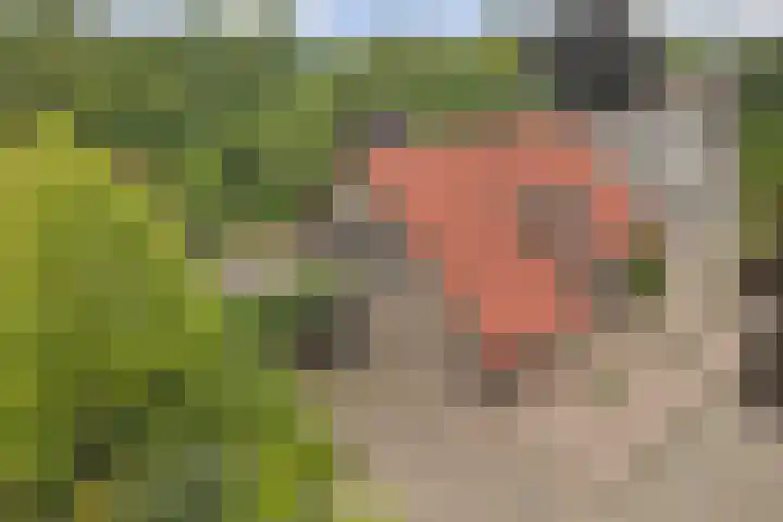 Veldstraat 14 Helden thumbnail 47
