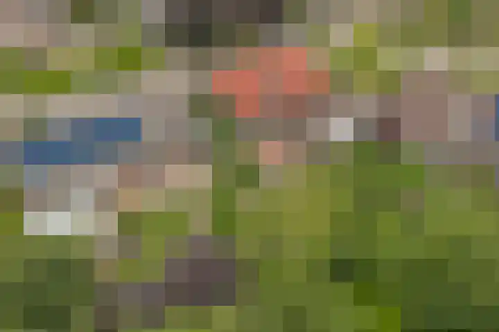 Veldstraat 14 Helden thumbnail 48