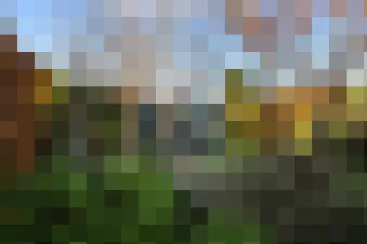 Veldstraat 15 Nuland thumbnail 4