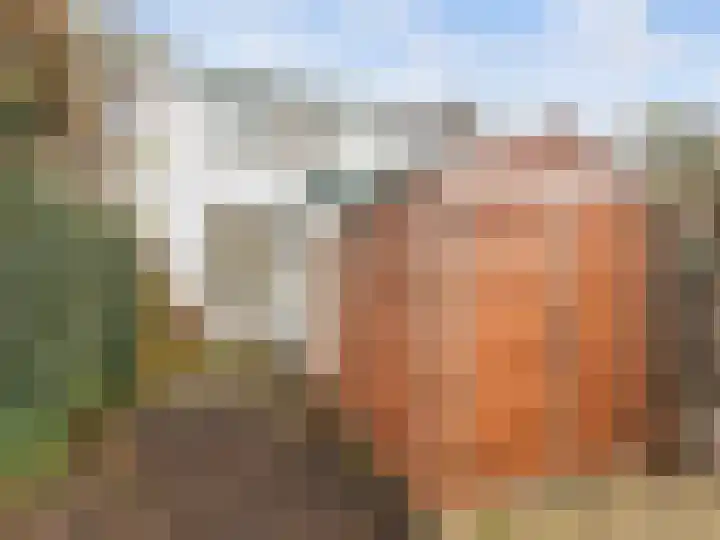 Veldstraat 15 Utrecht thumbnail 15