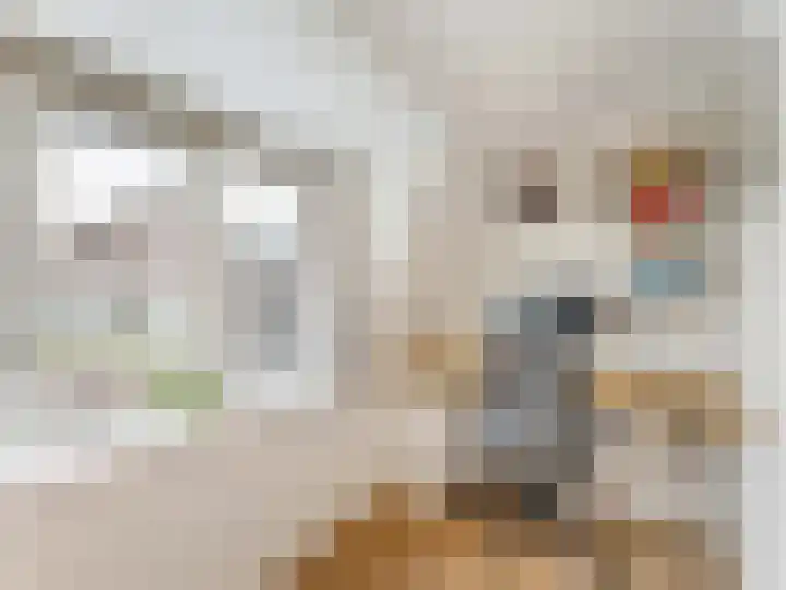 Veldstraat 15 Utrecht thumbnail 21