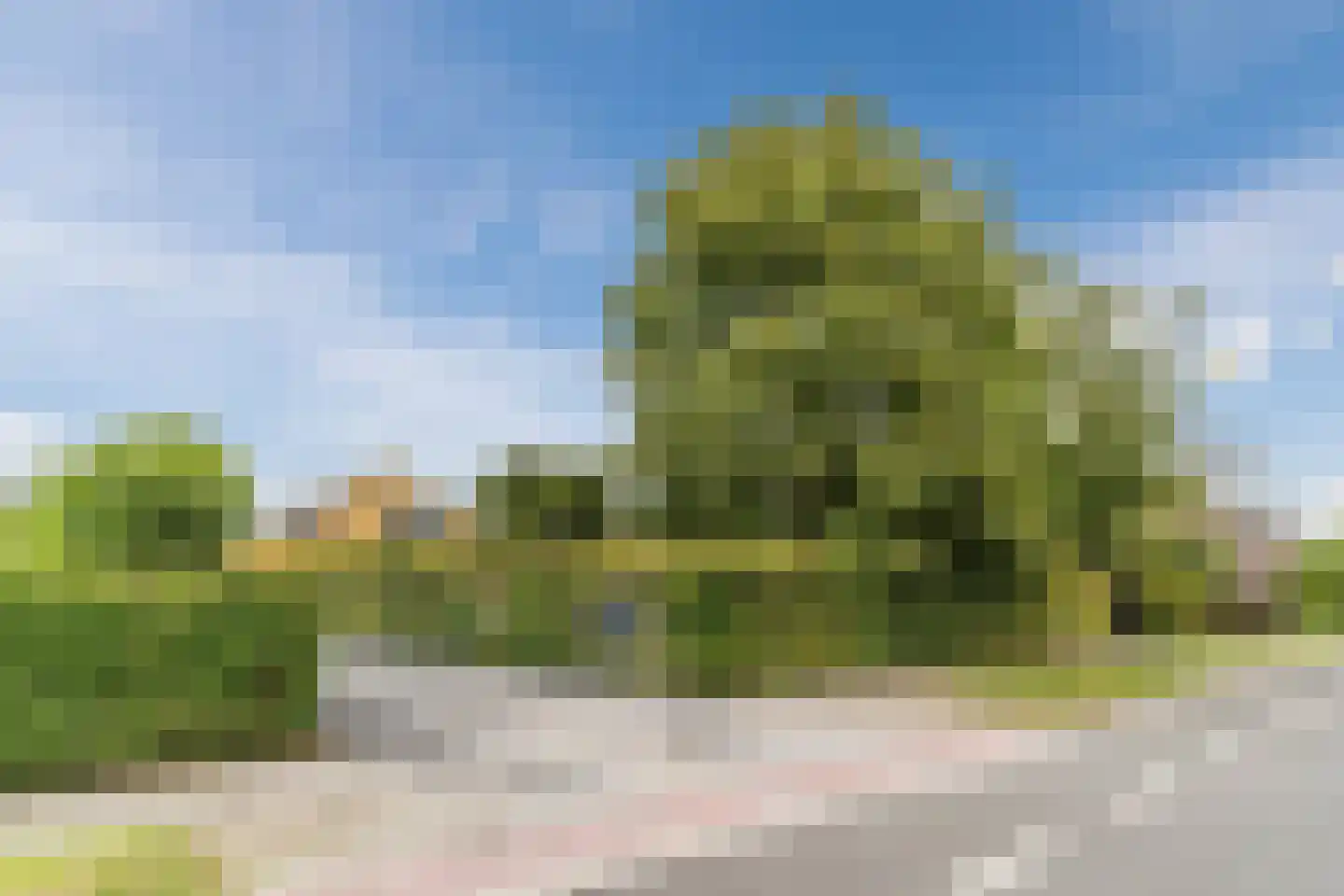 Veldstraat 16 A 12 Wijk en Aalburg thumbnail 31
