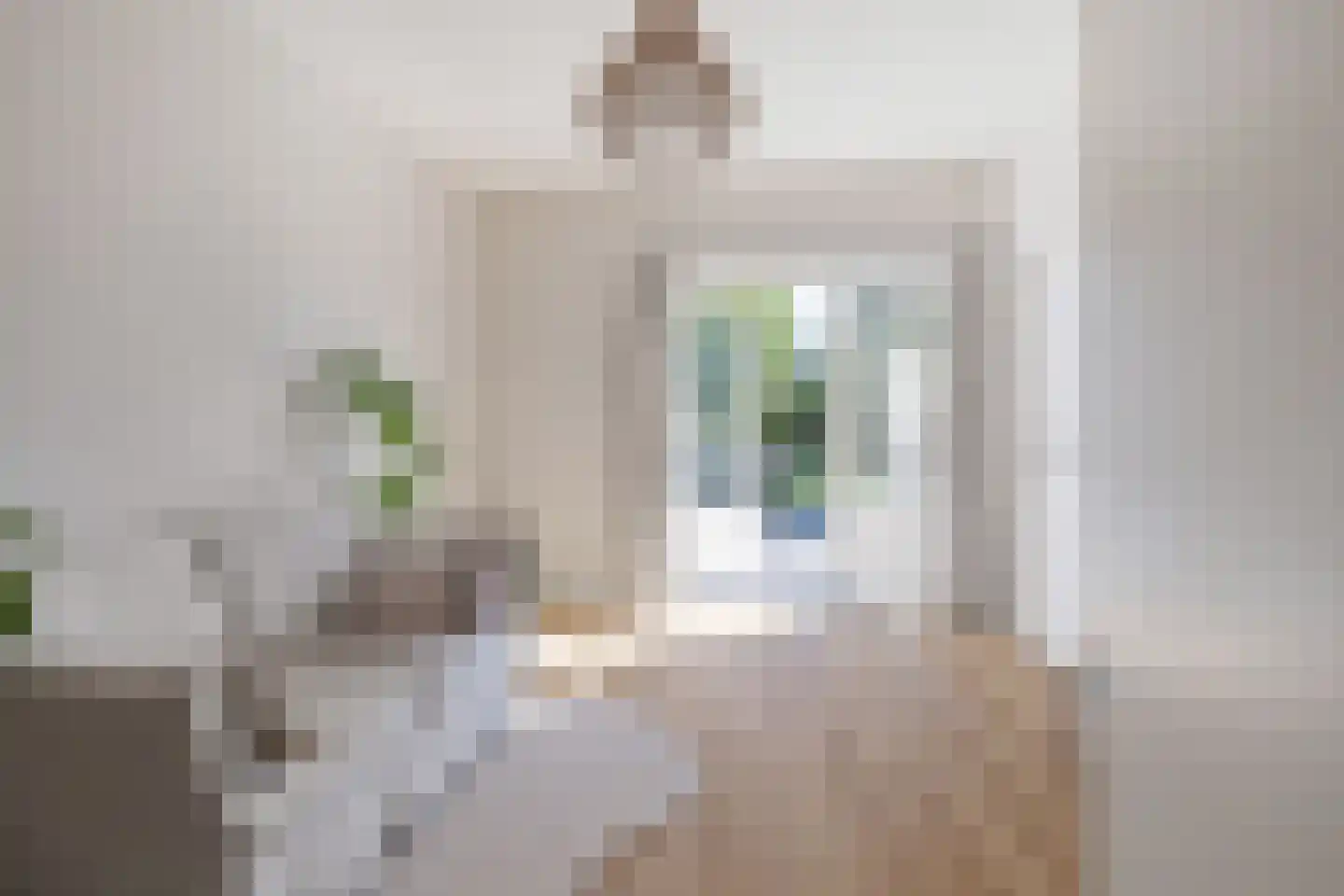 Veldstraat 16 Baarlo thumbnail 19