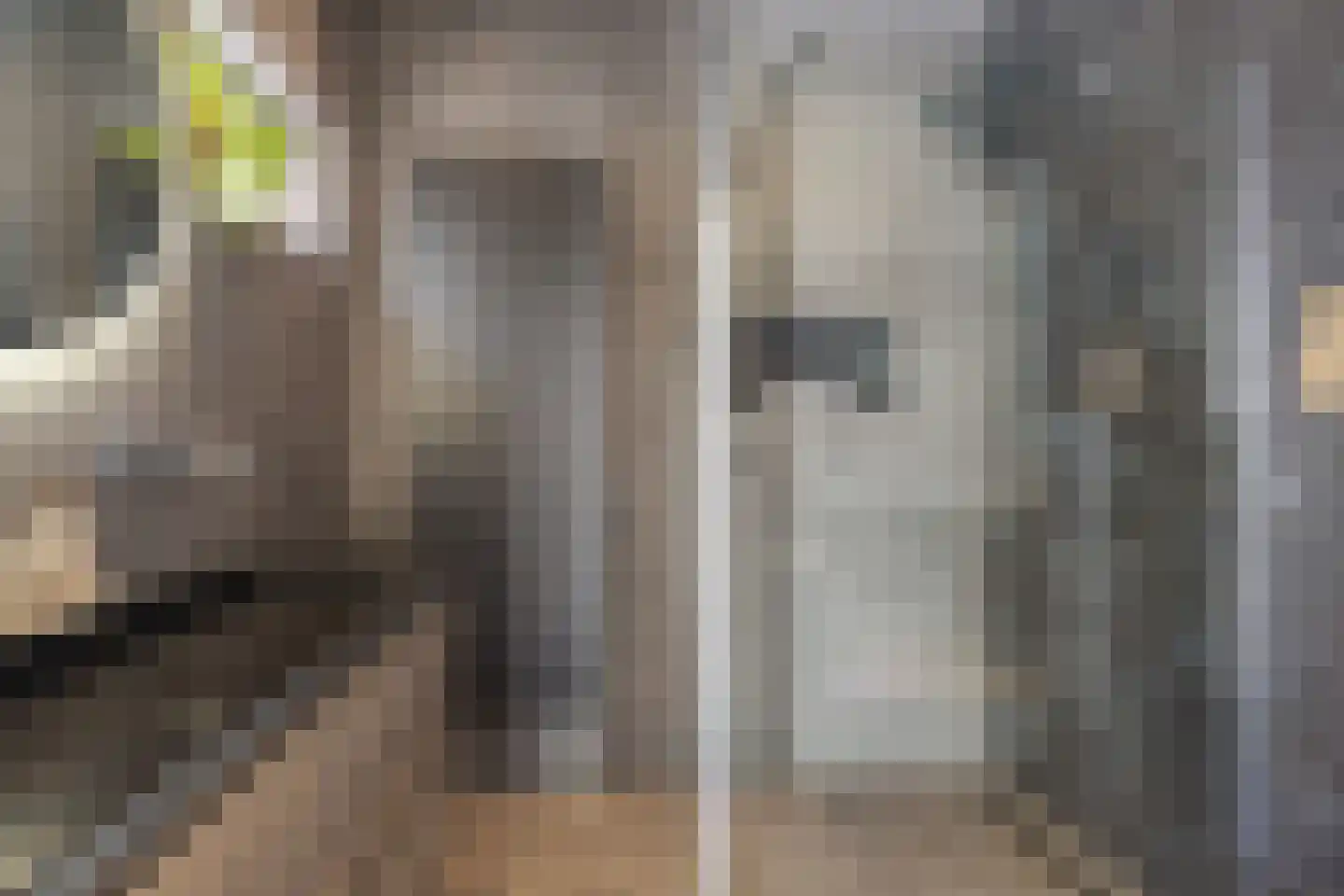 Veldstraat 16 Baarlo thumbnail 21