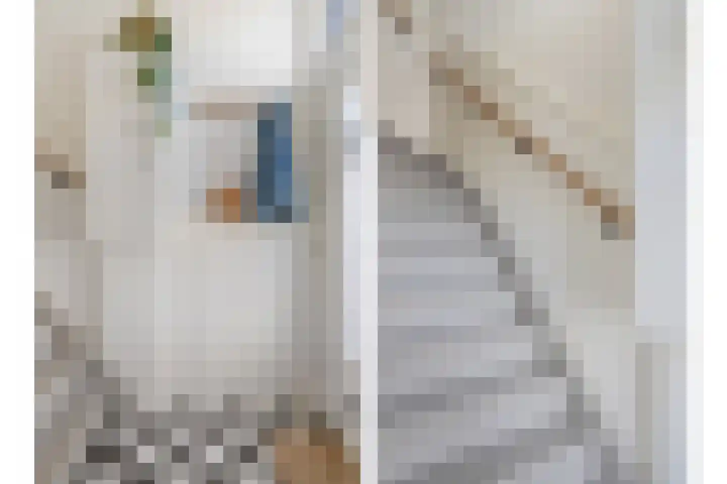 Veldstraat 16 Baarlo thumbnail 23