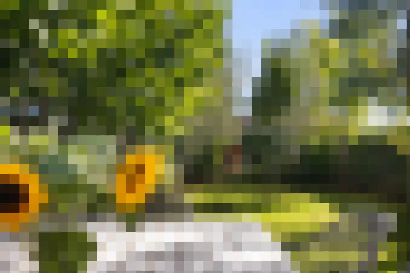 Veldstraat 16 Baarlo thumbnail 36
