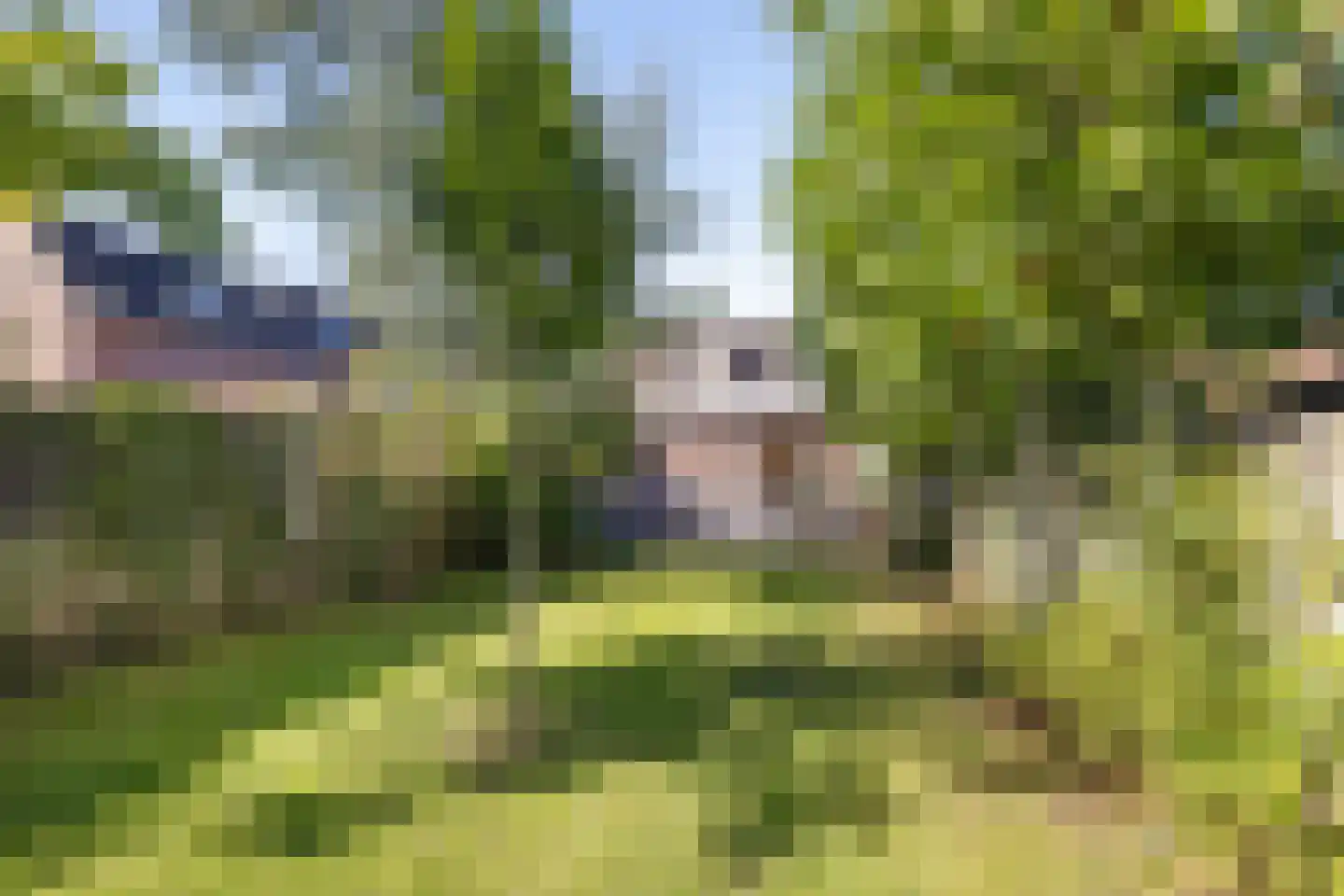 Veldstraat 16 Baarlo thumbnail 37