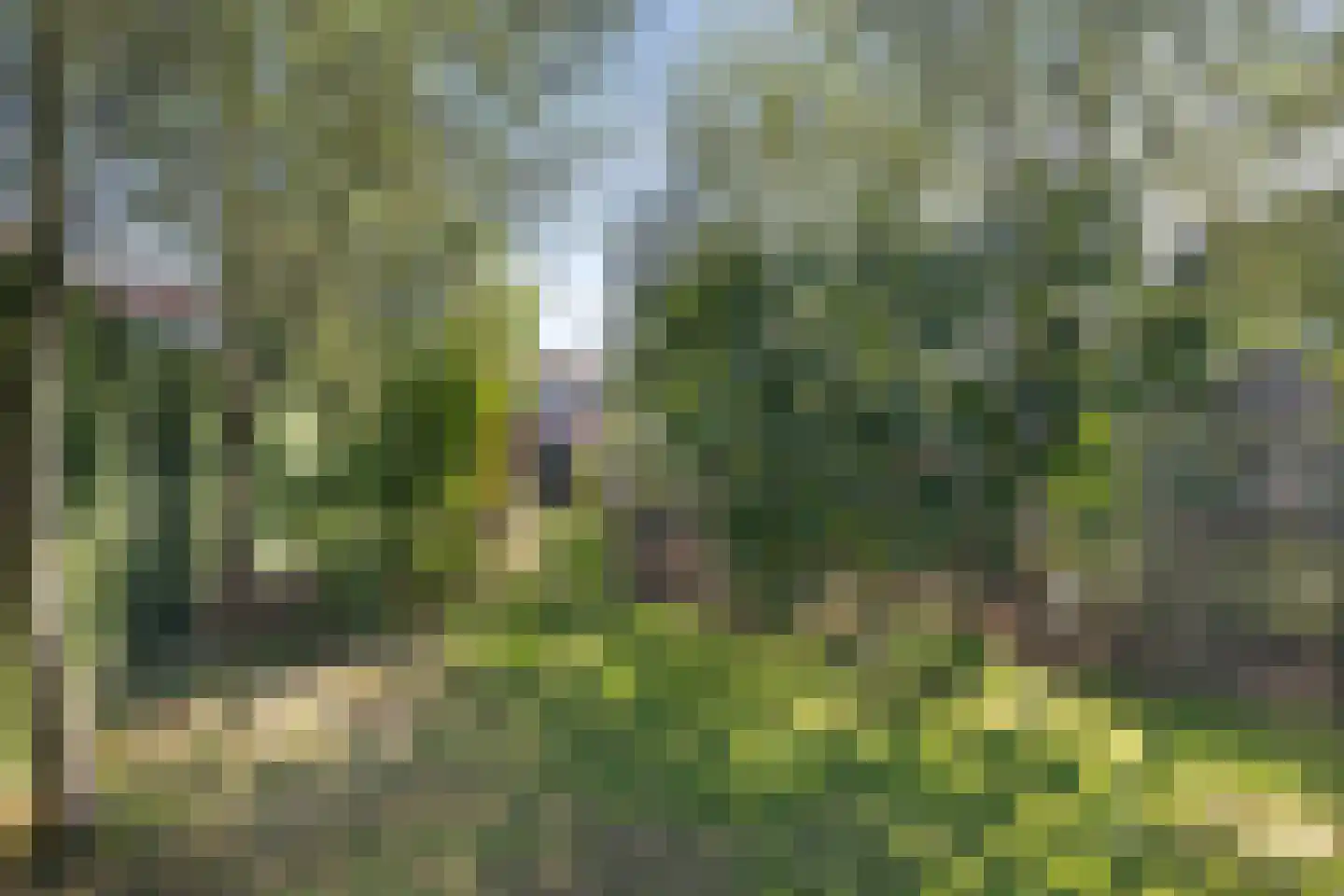 Veldstraat 16 Baarlo thumbnail 38
