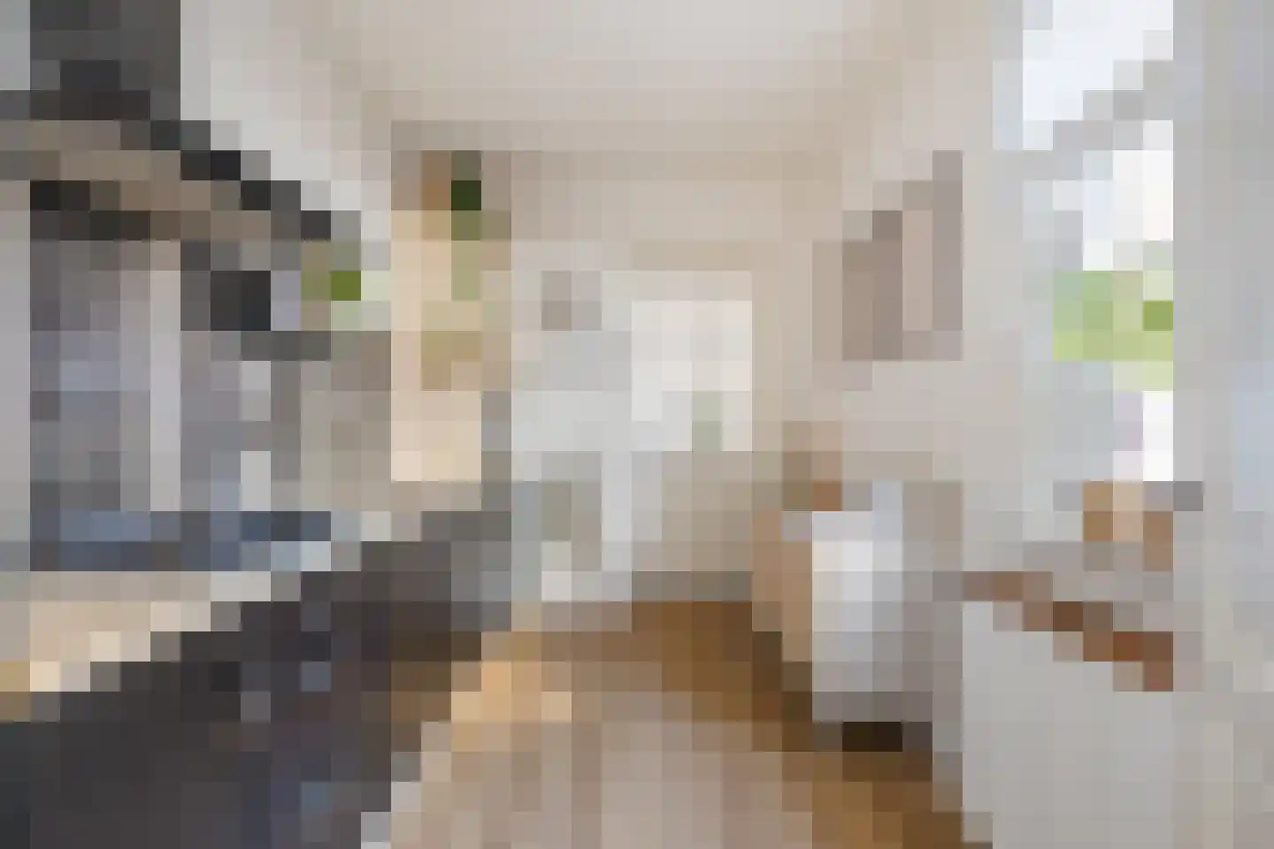 Veldstraat 16 Baarlo thumbnail 4
