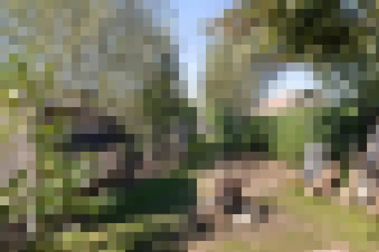 Veldstraat 16 Baarlo thumbnail 41