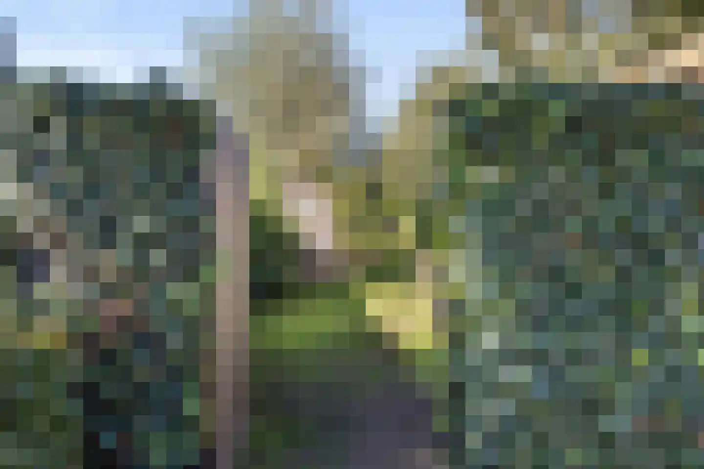 Veldstraat 16 Baarlo thumbnail 42