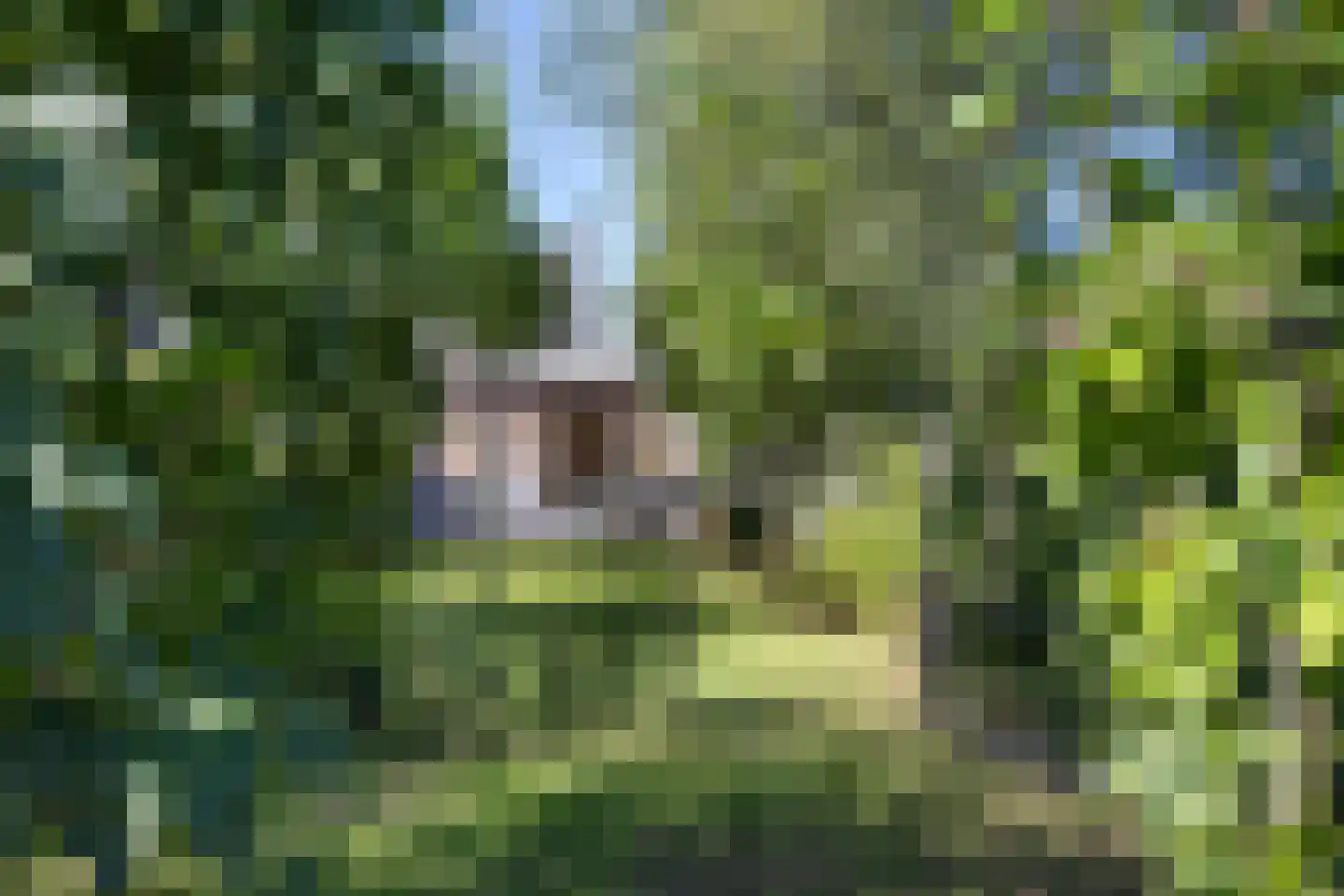 Veldstraat 16 Baarlo thumbnail 43