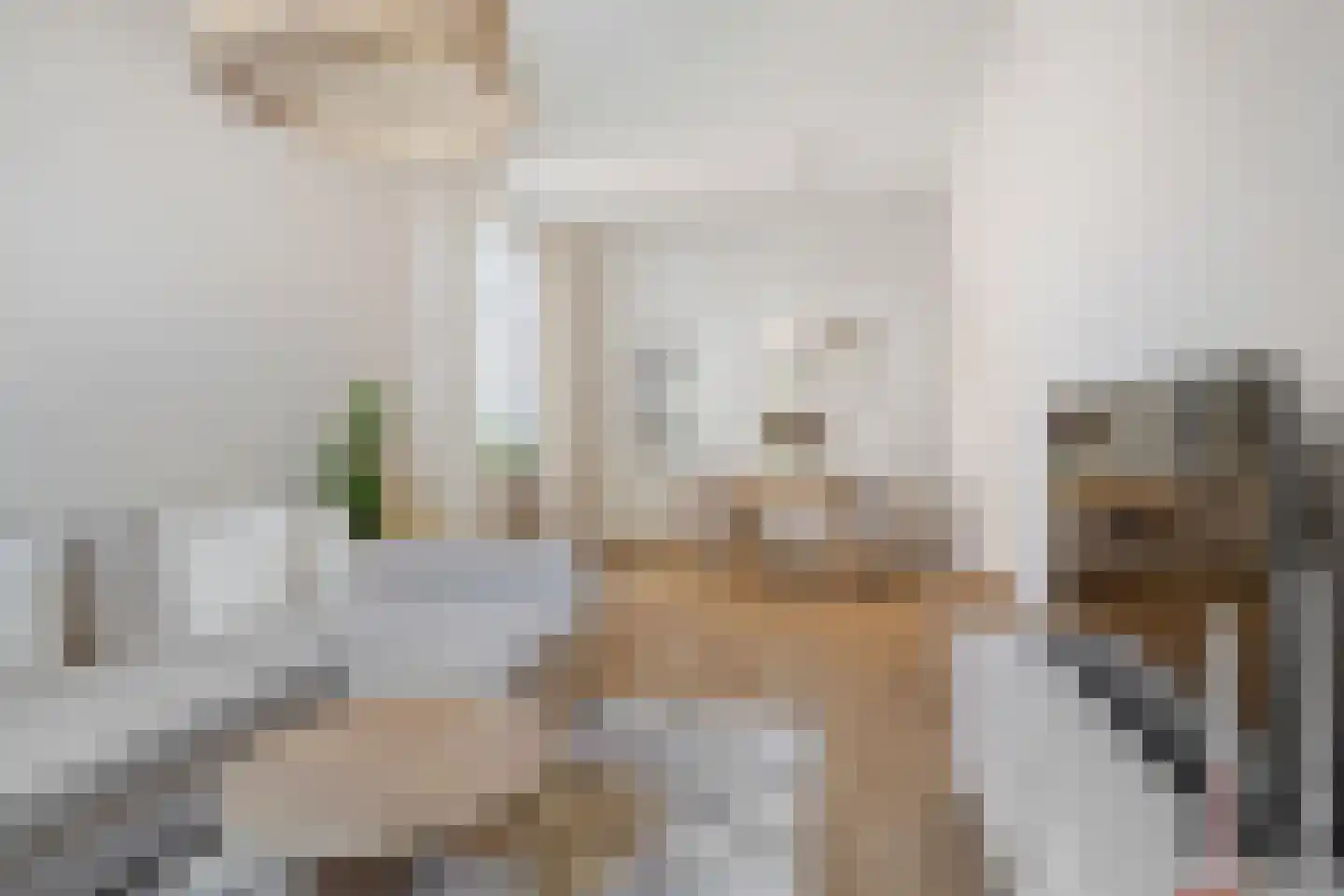 Veldstraat 16 Baarlo thumbnail 7