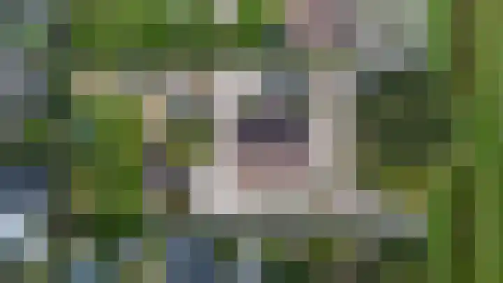 Veldstraat 16 Duiven thumbnail 53