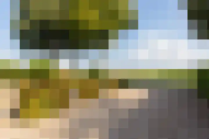 Veldstraat 16 Duiven thumbnail 7