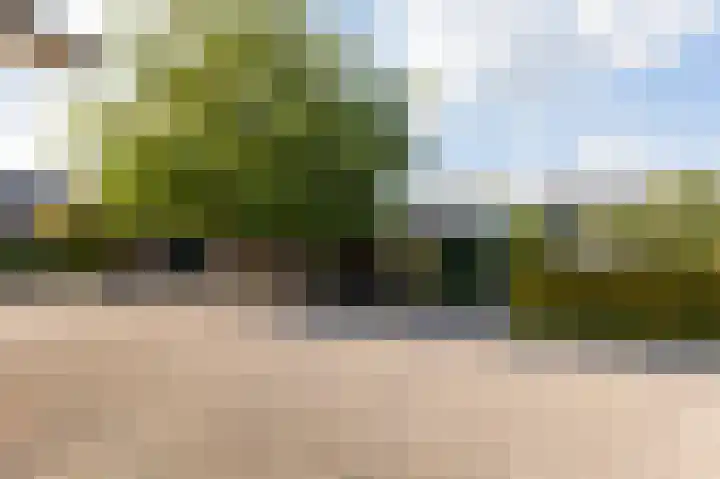 Veldstraat 16 Duiven thumbnail 78