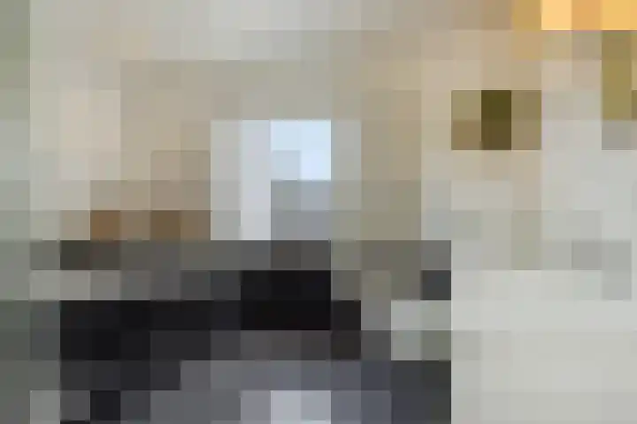 Veldstraat 17 Geffen thumbnail 24