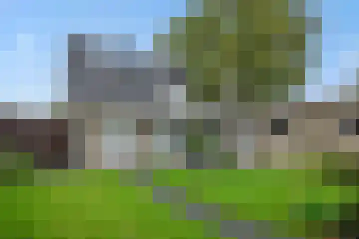 Veldstraat 17 Geffen thumbnail 37